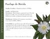 Flores del Paramo (31)